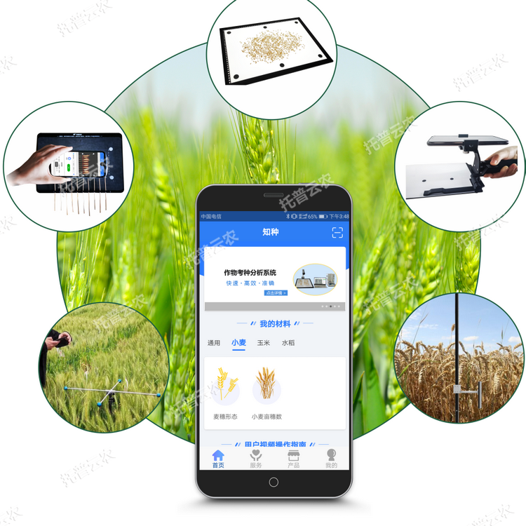 小麦表型检测系统