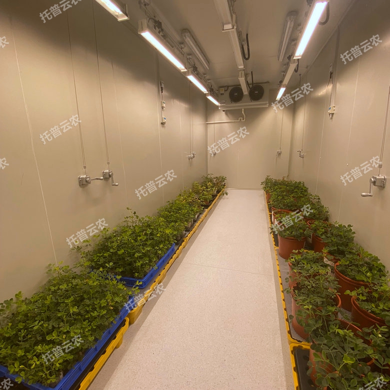 植物生长室