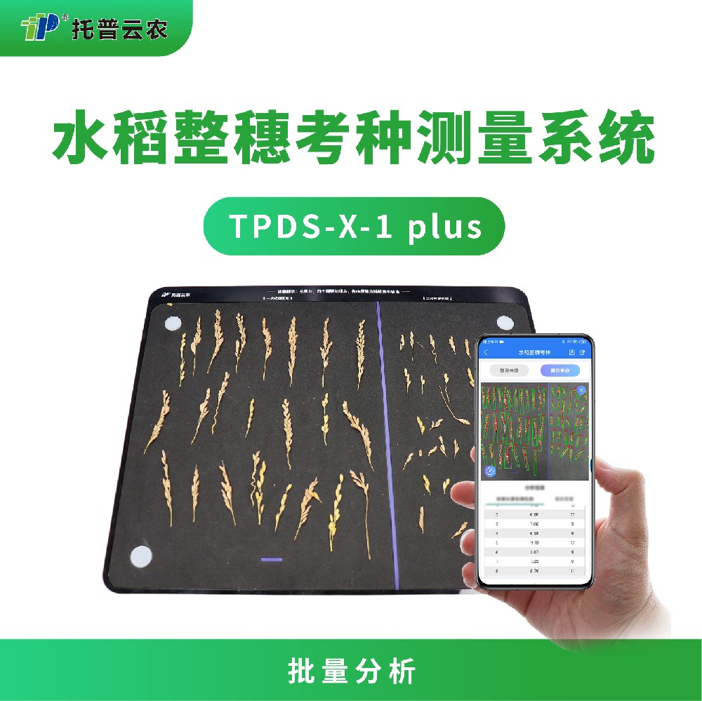 水稻整穗考种测量系统