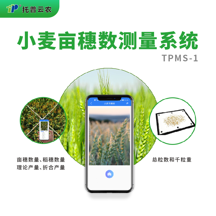 小麦亩穗数测量系统