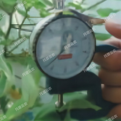 叶片厚度测定仪