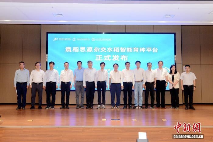 2026-10-11|湖南杂交水稻育种迈入智能决策新阶段