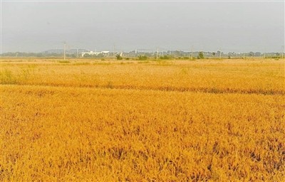 p7_b.jpg